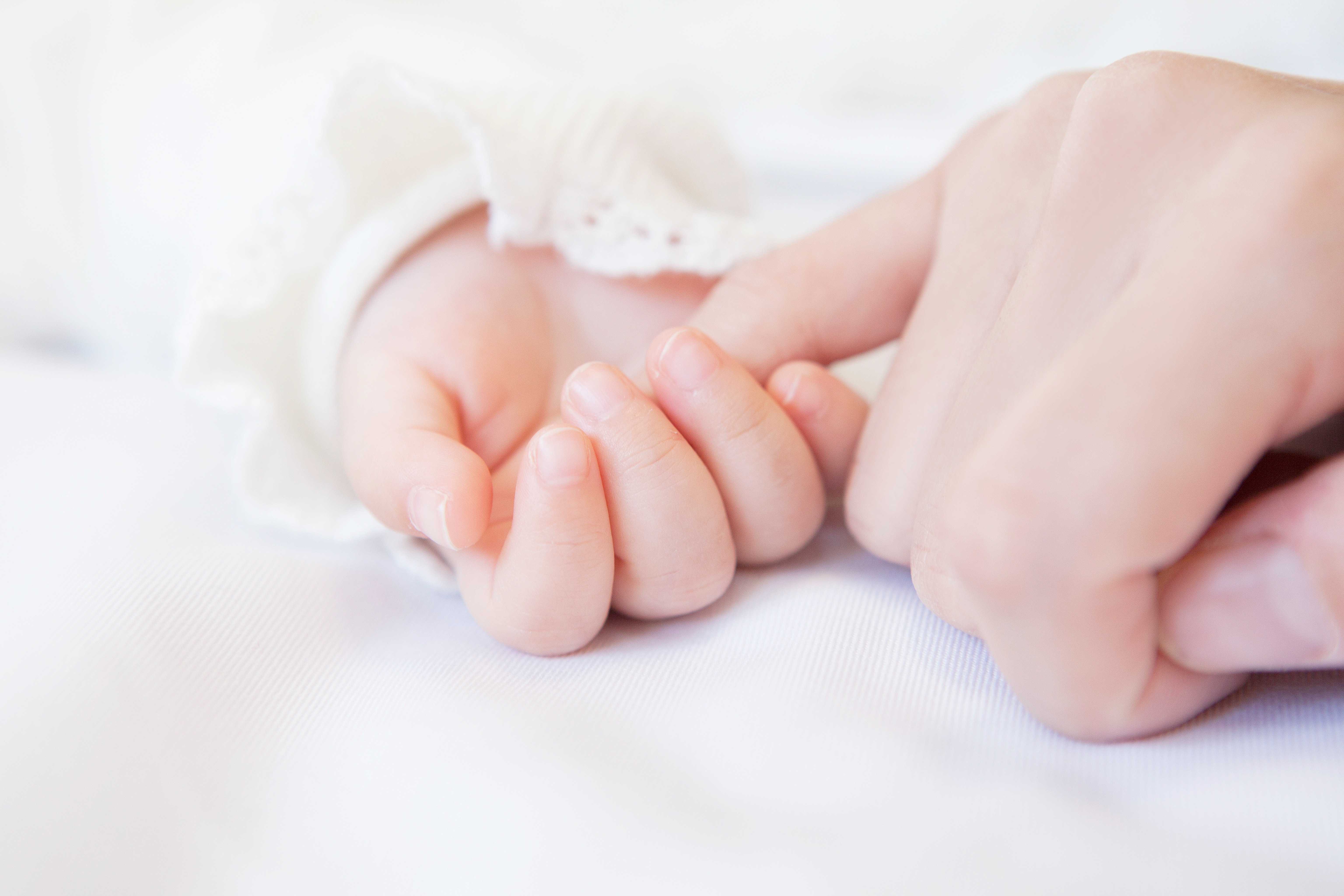 AdobeStock_66328759